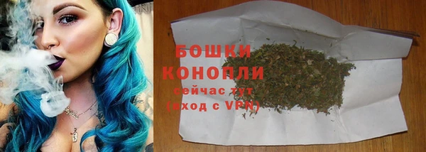 стафф Бронницы