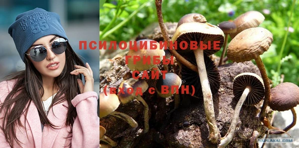 стафф Бронницы