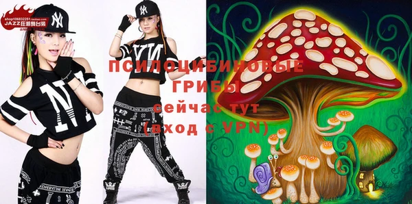 стафф Бронницы