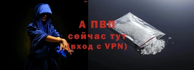 стафф Бронницы