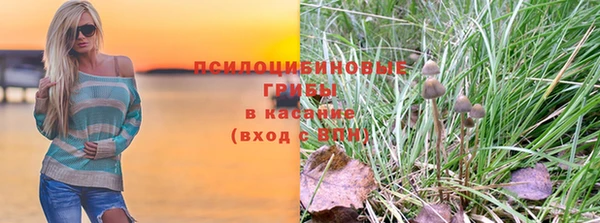стафф Бронницы