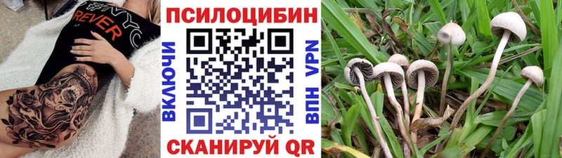 площадка телеграм  Тотьма  MEGA ONION  Галлюциногенные грибы Psilocybine cubensis  дарнет шоп 