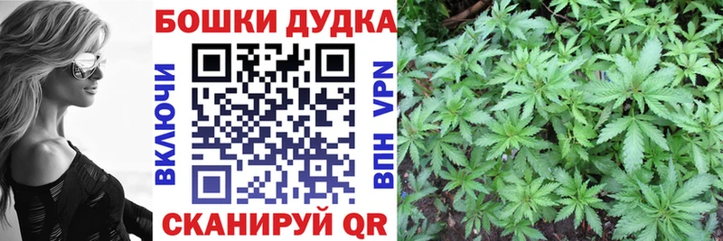 mega как войти  Тотьма  Шишки марихуана SATIVA & INDICA 